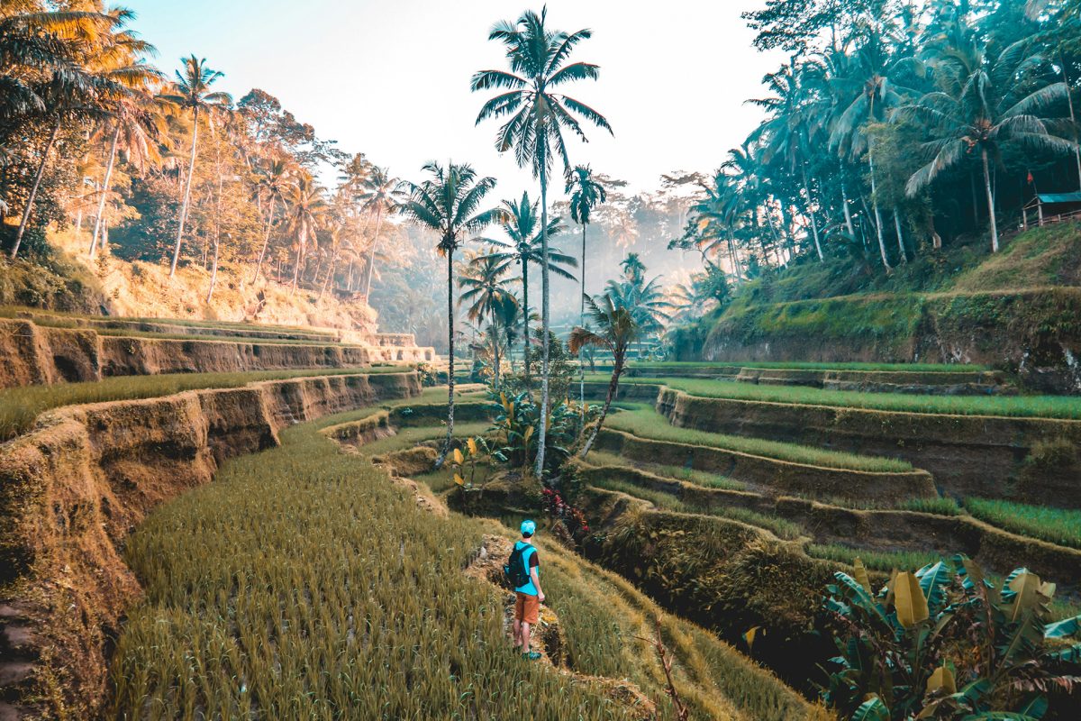 Crafting Unforgettable Journeys: The Power of Storytelling in Elevating Travel Experiences